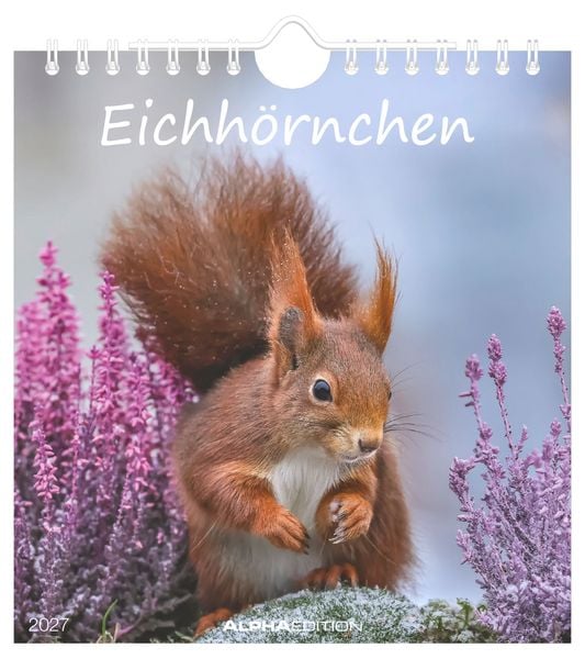 Produktbild: Eichh&ouml;rnchen 2027
