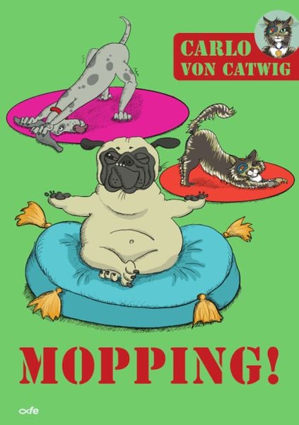 Produktbild: Mopping!