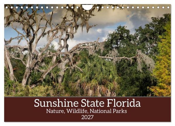 Produktbild: Sunshine State Florida Nature, Wildlife, National Parks (Wall Calendar 2027 DIN A4 landscape), CALVENDO 12 Month Wall Calendar