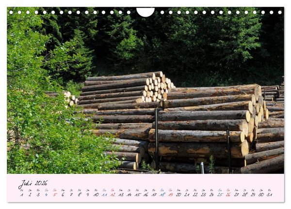 Produktbild: Wald und Baum 2026 (Wandkalender 2026 DIN A4 quer), CALVENDO Monatskalender