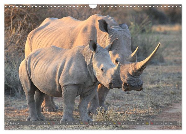 Produktbild: Wildtierparadies Afrika - Eine Foto-Reise durch die Savannen (Wandkalender 2026 DIN A3 quer), CALVENDO Monatskalender