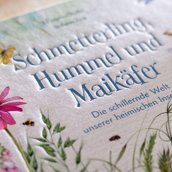 Produktbild: Schmetterling, Hummel und Maik&auml;fer