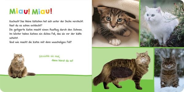 Produktbild: H&ouml;r mal rein, wer kann das sein? &ndash; Kuschelige Tiere