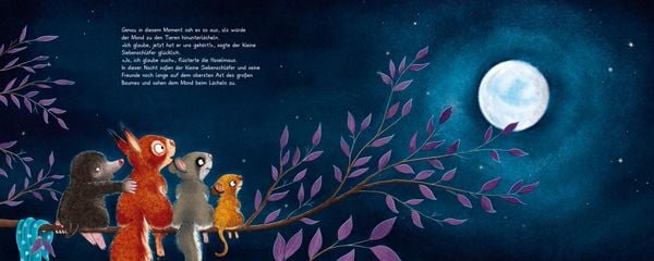 Produktbild: Der kleine Siebenschl&auml;fer 6: Die Geschichte vom kleinen Siebenschl&auml;fer, der dem Mond Gute Nacht sagen wollte