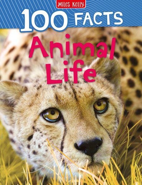 Produktbild: 100 Facts Animal Life