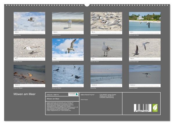 Produktbild: M&ouml;wen am Meer (hochwertiger Premium Wandkalender 2026 DIN A2 quer), Kunstdruck in Hochglanz