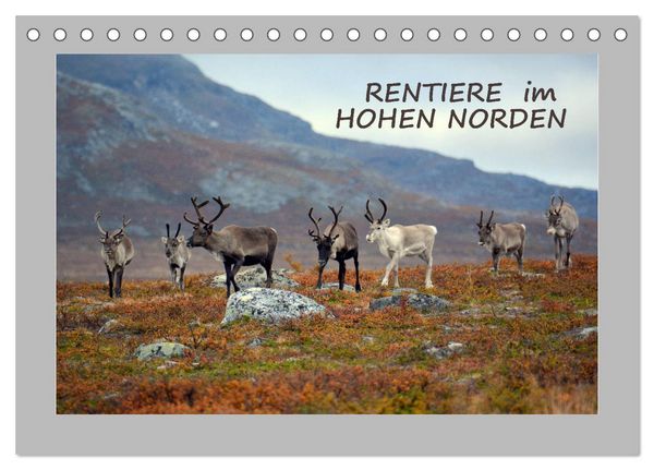 Produktbild: Rentiere im Hohen Norden (Tischkalender 2026 DIN A5 quer), CALVENDO Monatskalender