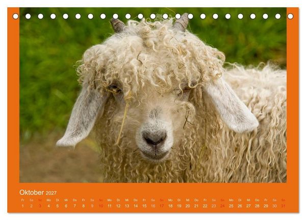 Produktbild: Tierkinder (Tischkalender 2027 DIN A5 quer), CALVENDO Monatskalender