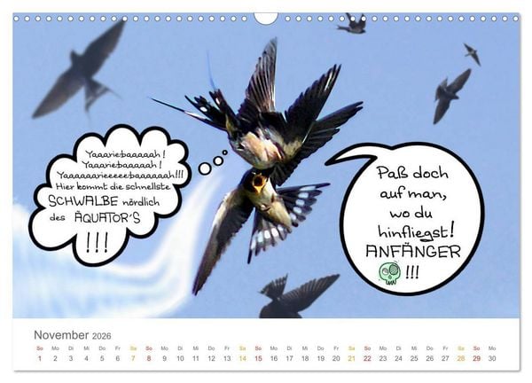 Produktbild: Wenn Schwalben reden (Wandkalender 2026 DIN A3 quer), CALVENDO Monatskalender