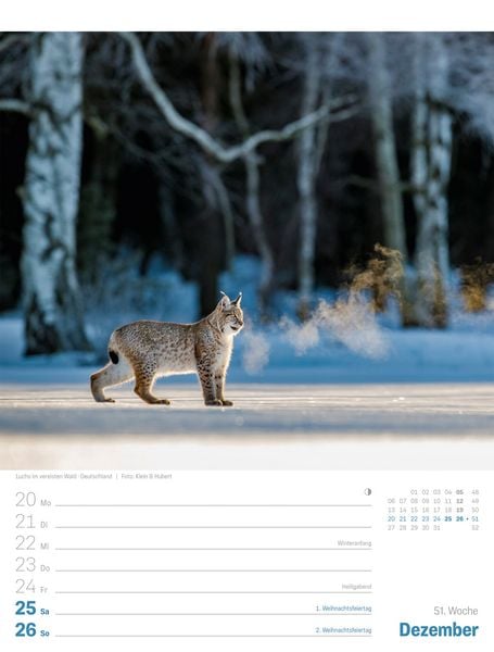 Produktbild: Planet Erde Wochenplaner Kalender 2027 | Landschaften der Welt