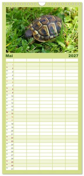 Produktbild: Familienplaner 2027 - Das Leben der Schildkr&ouml;ten mit 5 Spalten (Wandkalender, 21 x 45 cm) CALVENDO