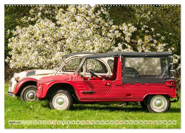 Produktbild: Franz&ouml;sische Klassiker - 2CV und D Modell Oldtimer (Wandkalender 2026 DIN A2 quer), CALVENDO Monatskalender