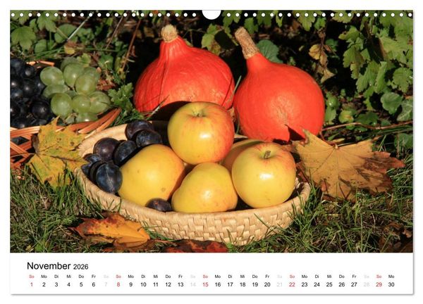 Produktbild: Alte Apfelsorten (Wandkalender 2026 DIN A3 quer), CALVENDO Monatskalender