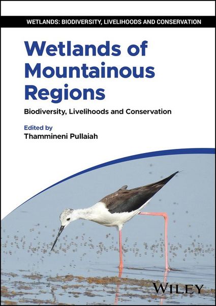 Produktbild: Wetlands of Mountainous Regions