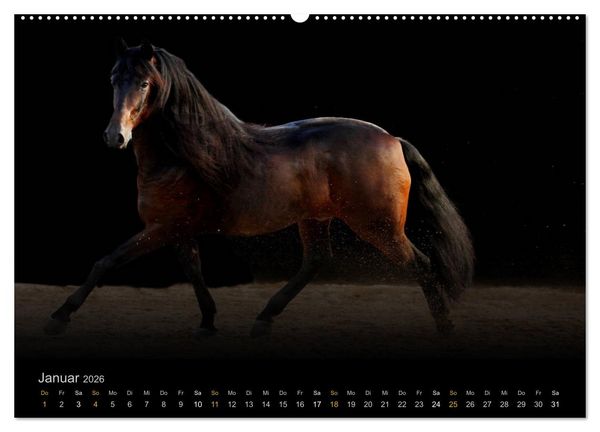 Produktbild: Magische Momente - Pferde Horses Caballos (Wandkalender 2026 DIN A2 quer), CALVENDO Monatskalender