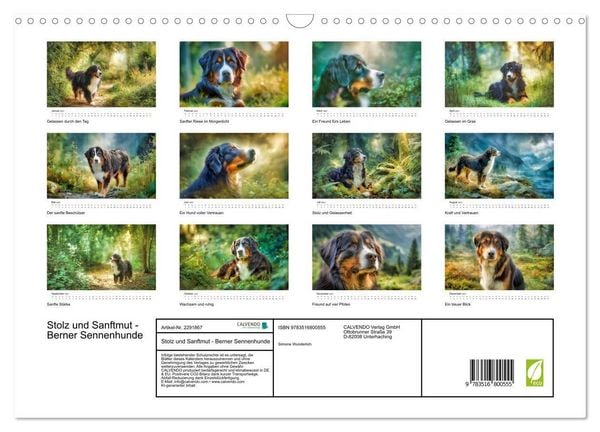 Produktbild: Stolz und Sanftmut - Berner Sennenhunde (Wandkalender 2027 DIN A3 quer), CALVENDO Monatskalender