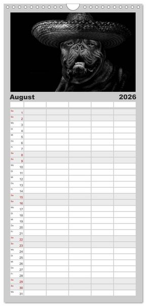 Produktbild: Familienplaner 2026 - H&uuml;tehunde mit 5 Spalten (Wandkalender, 21 x 45 cm) CALVENDO