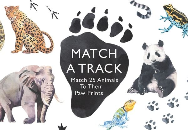 Produktbild: Match a Track