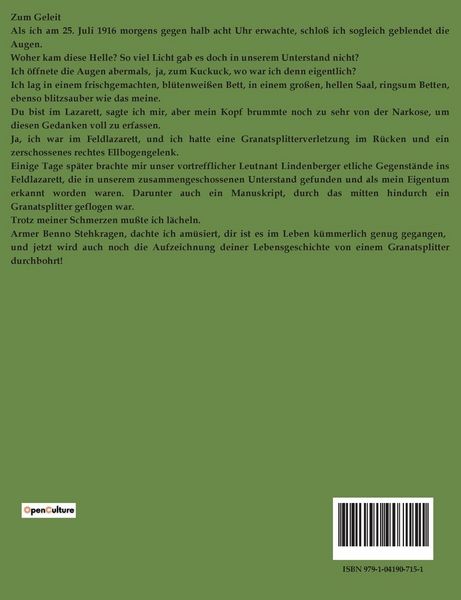 Produktbild: Benno Stehkragen