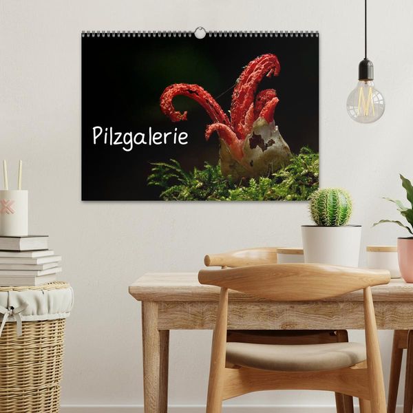 Produktbild: Pilzgalerie (Wandkalender 2026 DIN A3 quer), CALVENDO Monatskalender
