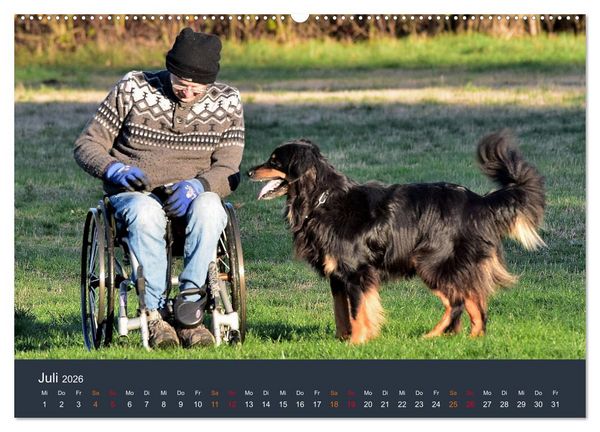 Produktbild: Ein Hovawart, ein Wachhund (hochwertiger Premium Wandkalender 2026 DIN A2 quer), Kunstdruck in Hochglanz