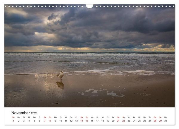 Produktbild: Langeoog &ndash; Ein Herbst auf der Insel des Lebens (Wandkalender 2026 DIN A3 quer), CALVENDO Monatskalender