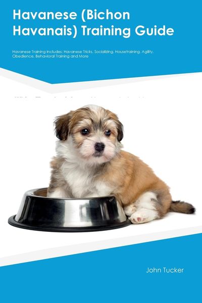 Produktbild: Havanese (Bichon Havanais) Training Guide Havanese Training Includes