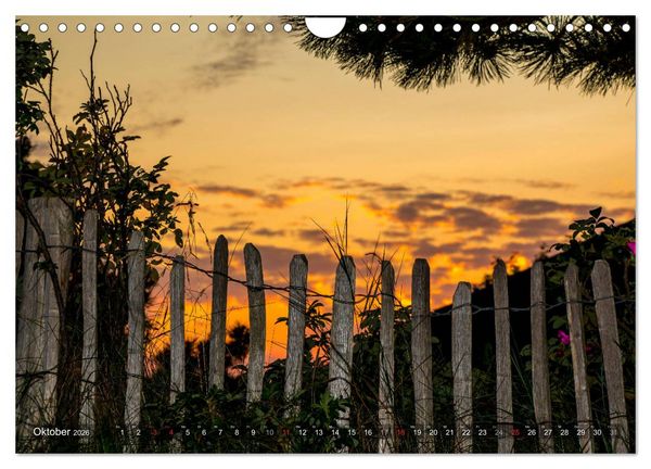 Produktbild: Amrum Insel am Wattenmeer (Wandkalender 2026 DIN A4 quer), CALVENDO Monatskalender