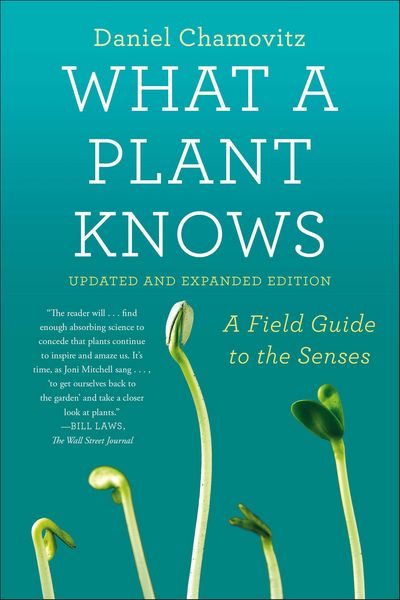 Produktbild: What a Plant Knows