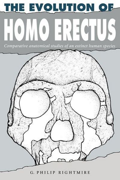 Produktbild: The Evolution of Homo Erectus