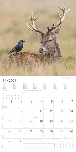 Produktbild: Tierfreundschaften 2027