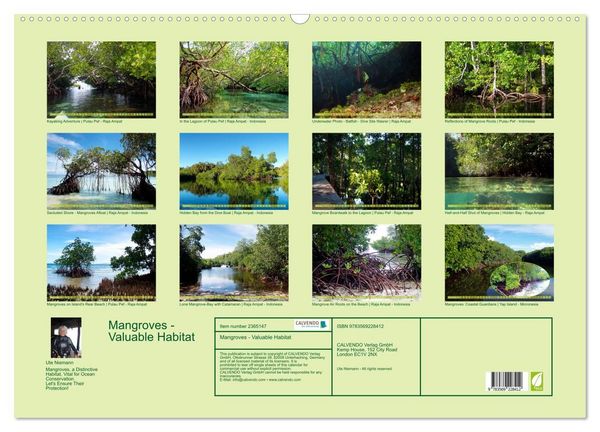 Produktbild: Mangroves - Valuable Habitat (Wall Calendar 2027 DIN A2 landscape), CALVENDO 12 Month Wall Calendar