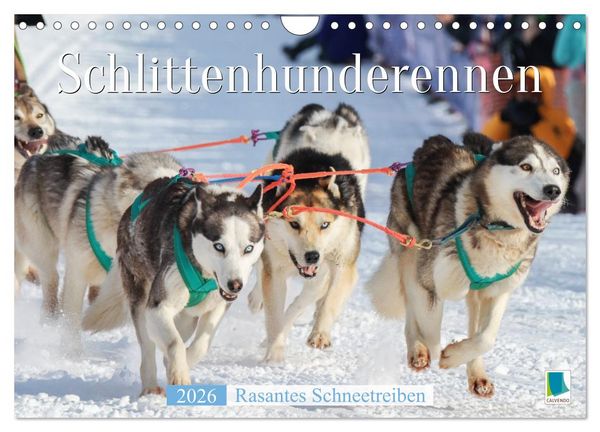 Produktbild: Schlittenhunderennen: Rasantes Schneetreiben (Wandkalender 2026 DIN A4 quer), CALVENDO Monatskalender