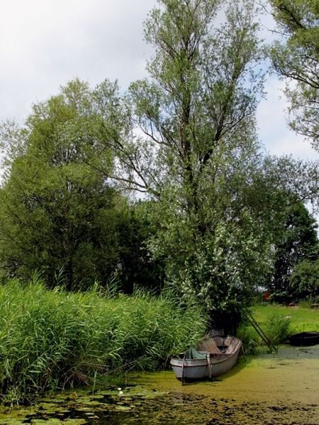 Produktbild: CALVENDO Puzzle Boot am Ufer der Havel | 1000 Teile Lege-Gr&ouml;&szlig;e 64x48cm Foto-Puzzle f&uuml;r gl&uuml;ckliche Stunden