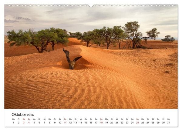 Produktbild: B&auml;ume in Namibias Landschaften (hochwertiger Premium Wandkalender 2026 DIN A2 quer), Kunstdruck in Hochglanz