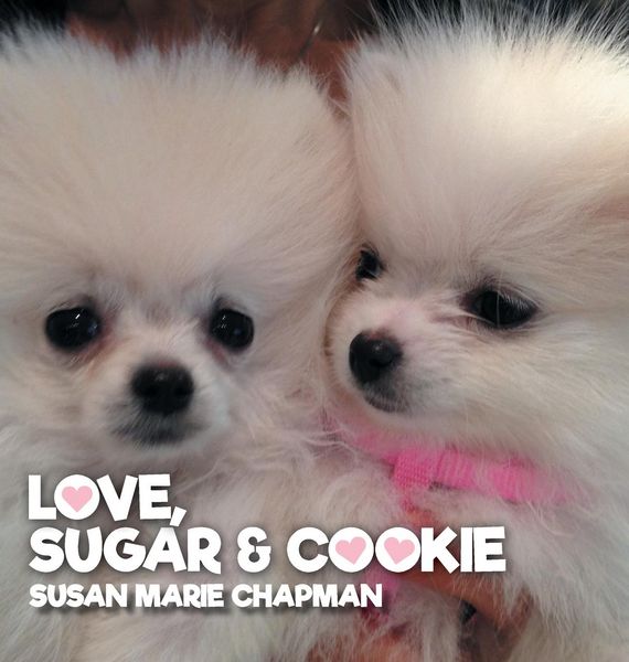 Produktbild: Love Sugar & Cookie