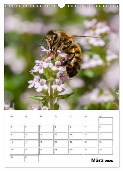 Produktbild: Hummeln und Bienen Terminplaner (Wandkalender 2026 DIN A3 hoch), CALVENDO Monatskalender