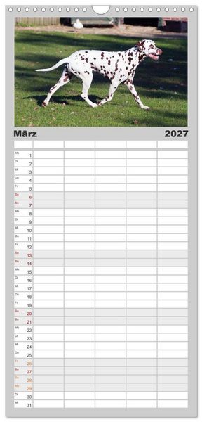 Produktbild: Familienplaner 2027 - Gefleckte Freunde - Hunderasse Dalmatiner mit 5 Spalten (Wandkalender, 21 x 45 cm) CALVENDO