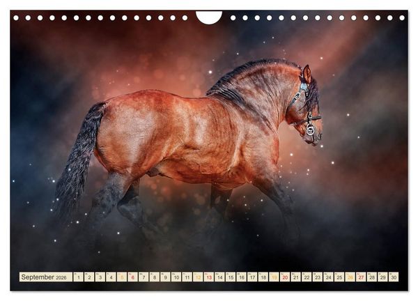 Produktbild: Eleganz und Sch&ouml;nheit - Pferde (Wandkalender 2026 DIN A4 quer), CALVENDO Monatskalender