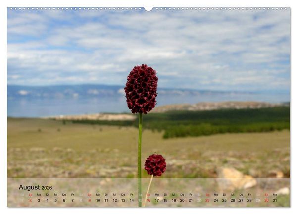 Produktbild: Olchon - Insel im Baikalsee (hochwertiger Premium Wandkalender 2026 DIN A2 quer), Kunstdruck in Hochglanz