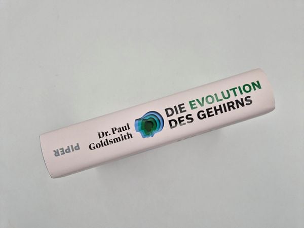 Produktbild: Die Evolution des Gehirns
