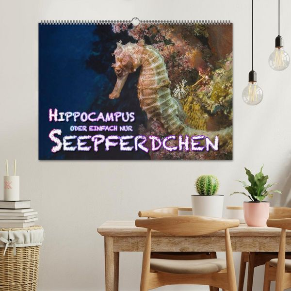 Produktbild: Hippocampus oder einfach nur Seepferdchen (Wandkalender 2026 DIN A2 quer), CALVENDO Monatskalender