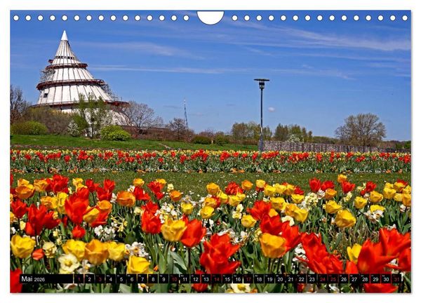Produktbild: Elberadweg von Lutherstadt Wittenberg bis Hitzacker (Wandkalender 2026 DIN A4 quer), CALVENDO Monatskalender