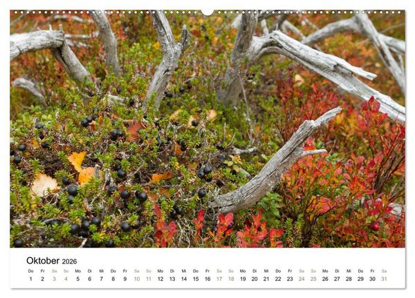 Produktbild: Einblick-Natur: Finnland nat&uuml;rlich (Wandkalender 2026 DIN A2 quer), CALVENDO Monatskalender