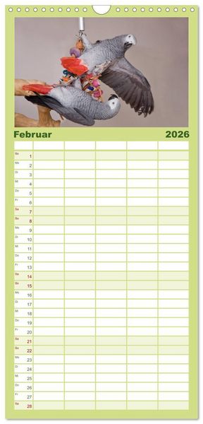 Produktbild: Familienplaner 2026 - Graupapageien zum Verlieben mit 5 Spalten (Wandkalender, 21 x 45 cm) CALVENDO
