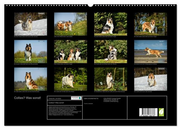 Produktbild: Collies? Was sonst! (hochwertiger Premium Wandkalender 2027 DIN A2 quer), Kunstdruck in Hochglanz