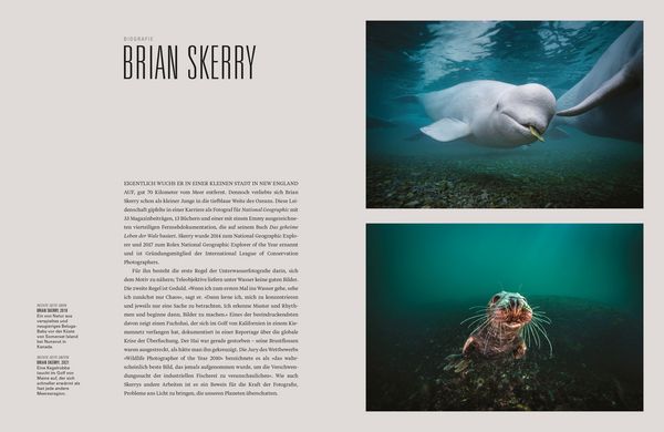 Produktbild: Ikonen der Fotografie