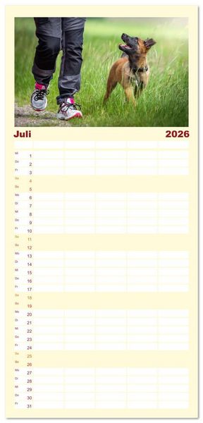 Produktbild: Familienplaner 2026 - Traumhund Malinois mit 5 Spalten (Wandkalender, 21 x 45 cm) CALVENDO