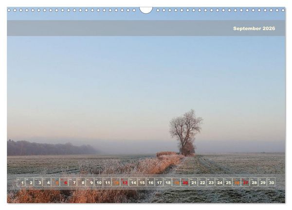 Produktbild: Licht im Land (Wandkalender 2026 DIN A3 quer), CALVENDO Monatskalender