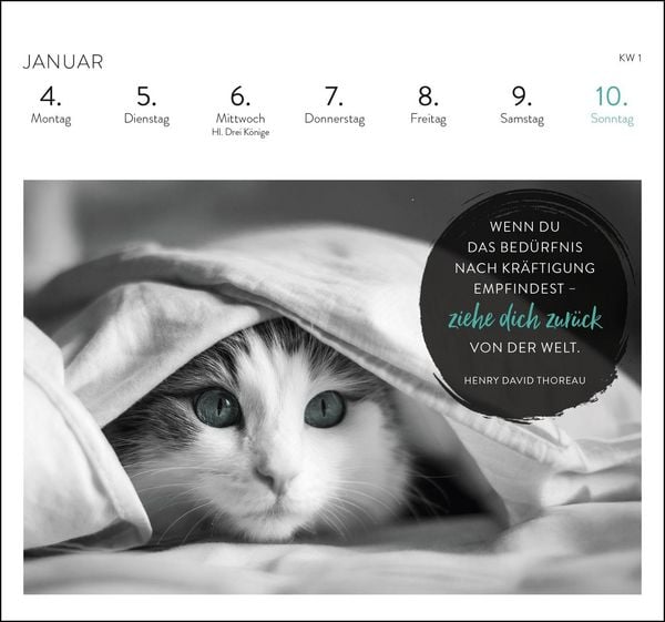 Produktbild: Postkartenkalender 2027: Inspirierende Worte f&uuml;r Katzenfreunde